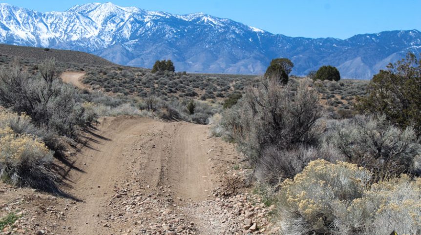 Buckeye Creek #1–#4 — photograph 110 of the claim ground, Douglas County, Nevada