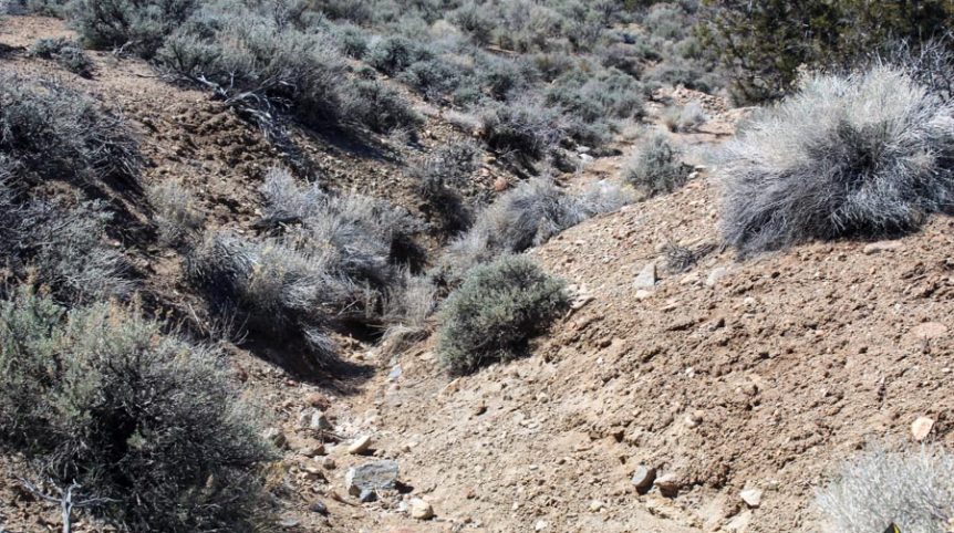 Buckeye Creek #1–#4 — photograph 111 of the claim ground, Douglas County, Nevada