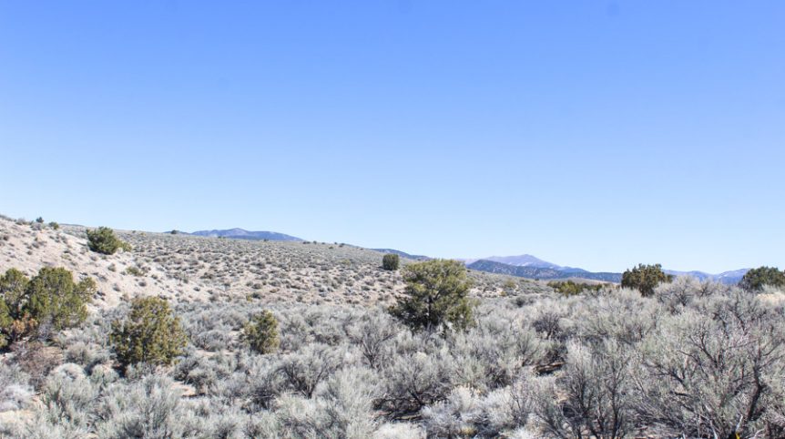 Buckeye Creek #1–#4 — photograph 113 of the claim ground, Douglas County, Nevada