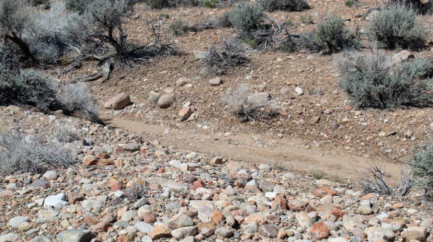 Buckeye Creek #1–#4 — photograph 114 of the claim ground, Douglas County, Nevada