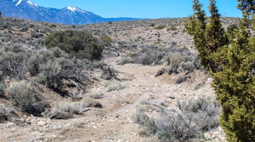 Buckeye Creek #1–#4 — photograph 116 of the claim ground, Douglas County, Nevada