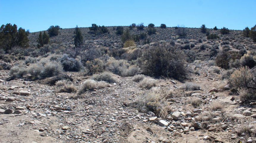 Buckeye Creek #1–#4 — photograph 117 of the claim ground, Douglas County, Nevada