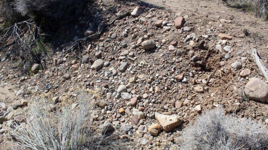 Buckeye Creek #1–#4 — photograph 118 of the claim ground, Douglas County, Nevada