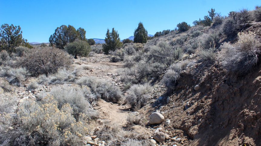 Buckeye Creek #1–#4 — photograph 119 of the claim ground, Douglas County, Nevada