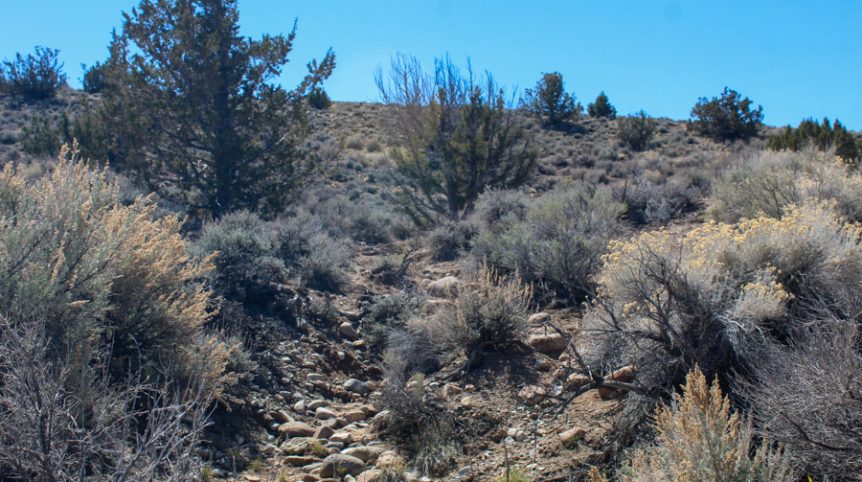 Buckeye Creek #1–#4 — photograph 121 of the claim ground, Douglas County, Nevada