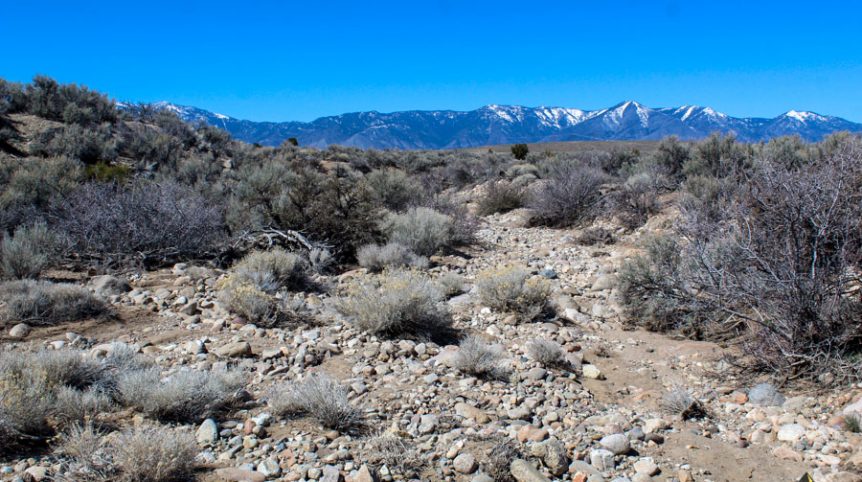 Buckeye Creek #1–#4 — photograph 124 of the claim ground, Douglas County, Nevada