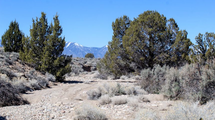 Buckeye Creek #1–#4 — photograph 125 of the claim ground, Douglas County, Nevada
