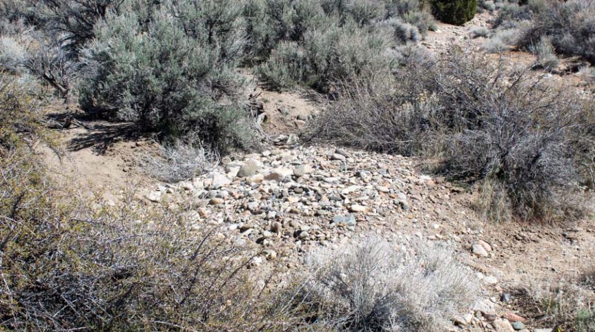 Buckeye Creek #1–#4 — photograph 127 of the claim ground, Douglas County, Nevada