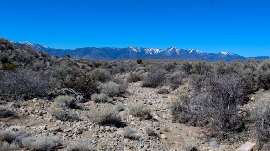 Buckeye Creek #1–#4 — photograph 134 of the claim ground, Douglas County, Nevada