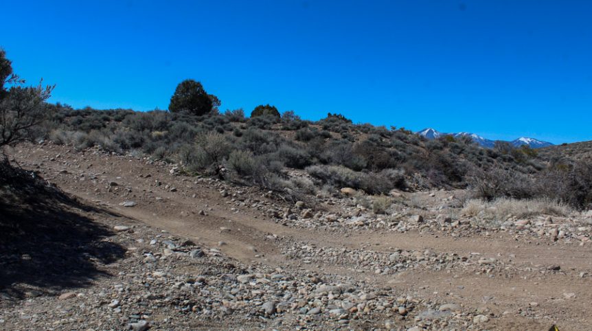 Buckeye Creek #1–#4 — photograph 136 of the claim ground, Douglas County, Nevada