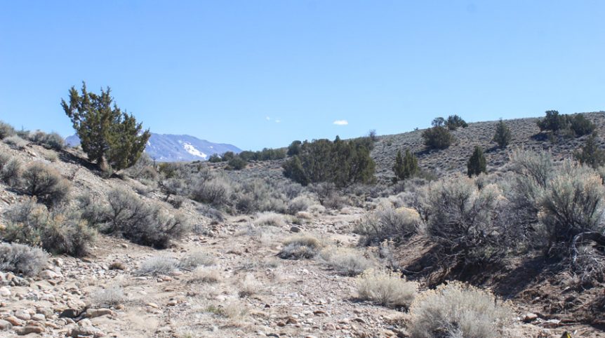 Buckeye Creek #1–#4 — photograph 137 of the claim ground, Douglas County, Nevada