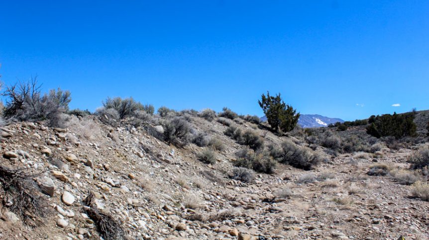 Buckeye Creek #1–#4 — photograph 138 of the claim ground, Douglas County, Nevada
