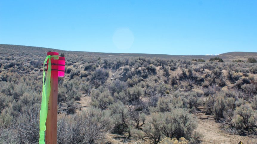 Buckeye Creek #1–#4 — photograph 140 of the claim ground, Douglas County, Nevada