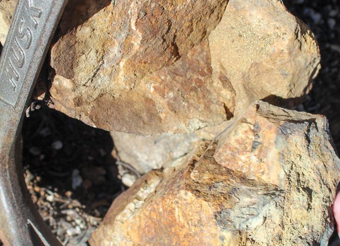 Taylor Mine — photograph 3 of the claim ground, Douglas County, Nevada