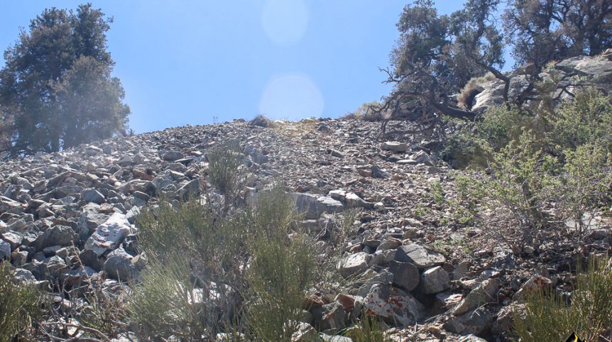 Taylor Mine — photograph 6 of the claim ground, Douglas County, Nevada