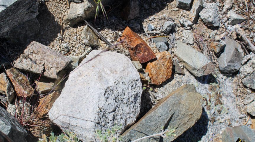 Taylor Mine — photograph 7 of the claim ground, Douglas County, Nevada