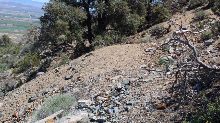 Taylor Mine — photograph 8 of the claim ground, Douglas County, Nevada