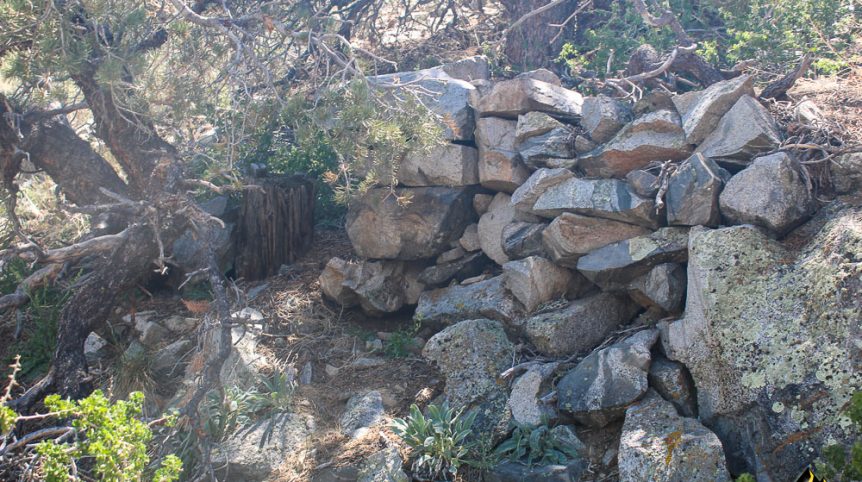 Taylor Mine — photograph 9 of the claim ground, Douglas County, Nevada