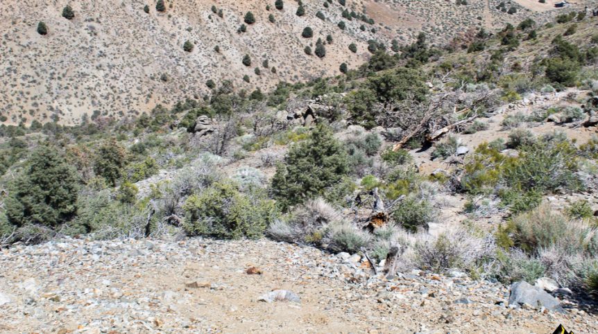 Taylor Mine — photograph 10 of the claim ground, Douglas County, Nevada