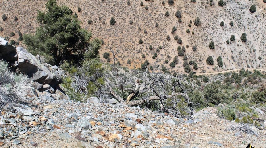 Taylor Mine — photograph 11 of the claim ground, Douglas County, Nevada