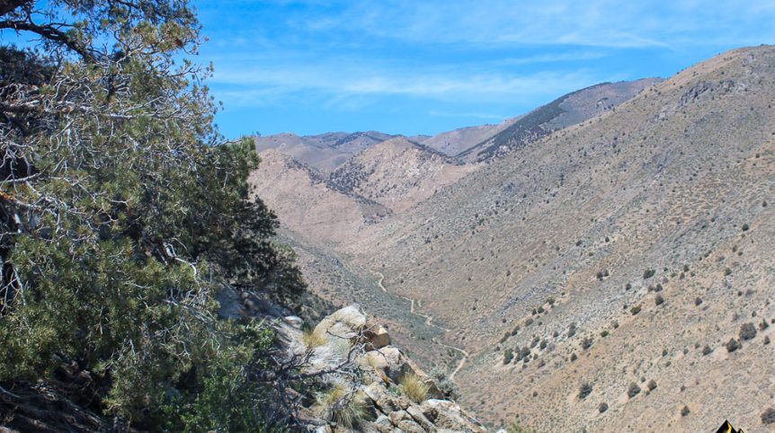 Taylor Mine — photograph 12 of the claim ground, Douglas County, Nevada