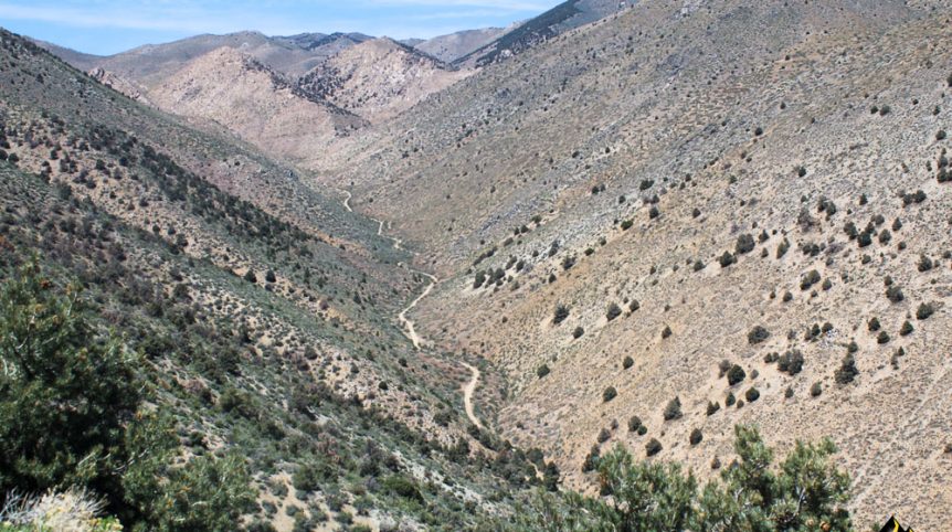 Taylor Mine — photograph 13 of the claim ground, Douglas County, Nevada