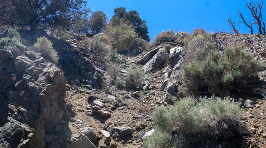 Taylor Mine — photograph 14 of the claim ground, Douglas County, Nevada