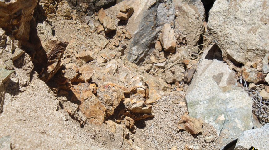 Taylor Mine — photograph 16 of the claim ground, Douglas County, Nevada