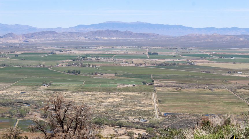 Taylor Mine — photograph 19 of the claim ground, Douglas County, Nevada