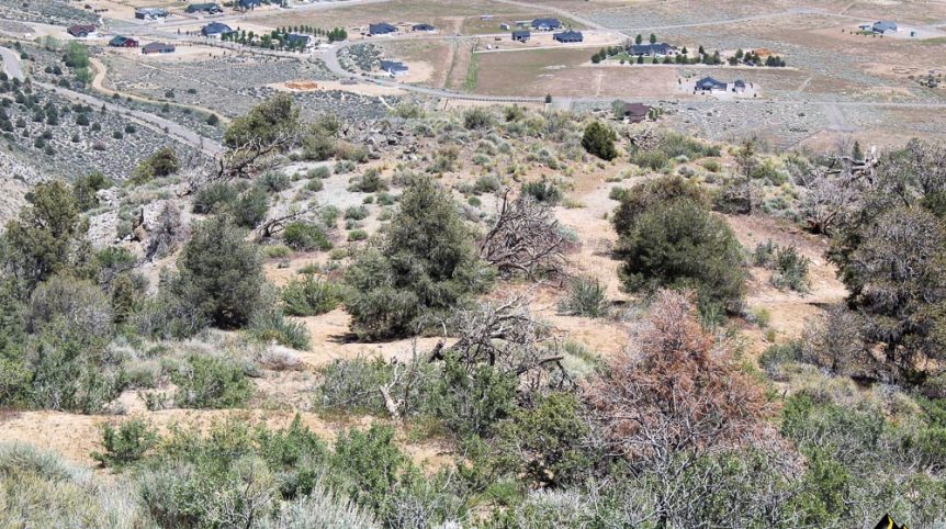 Taylor Mine — photograph 21 of the claim ground, Douglas County, Nevada
