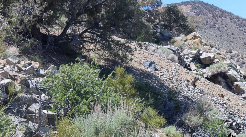 Taylor Mine — photograph 22 of the claim ground, Douglas County, Nevada
