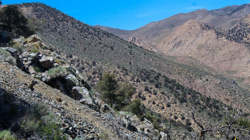 Taylor Mine — photograph 23 of the claim ground, Douglas County, Nevada