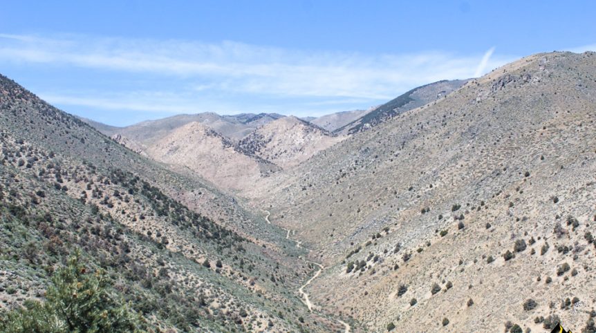 Taylor Mine — photograph 24 of the claim ground, Douglas County, Nevada