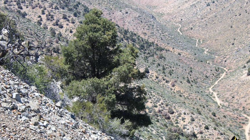 Taylor Mine — photograph 25 of the claim ground, Douglas County, Nevada