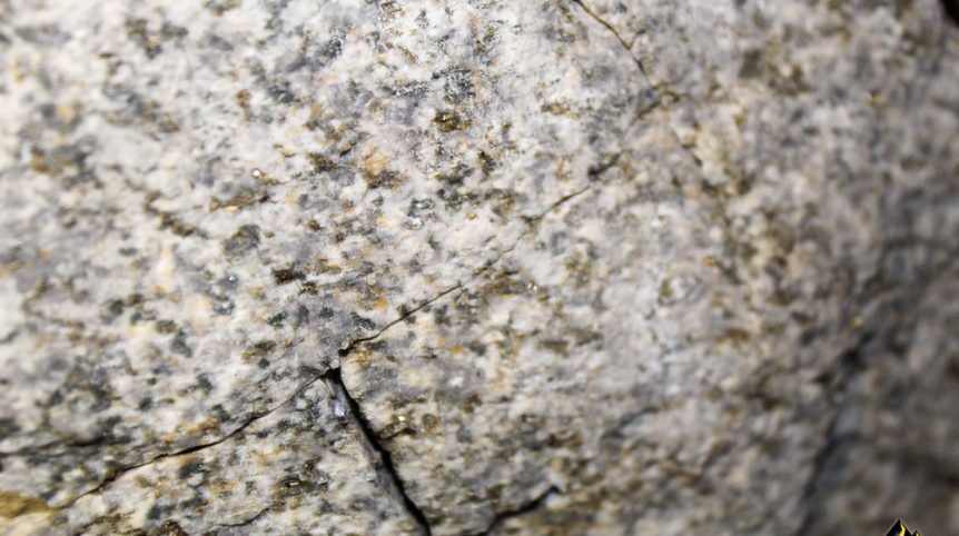 Taylor Mine — photograph 29 of the claim ground, Douglas County, Nevada