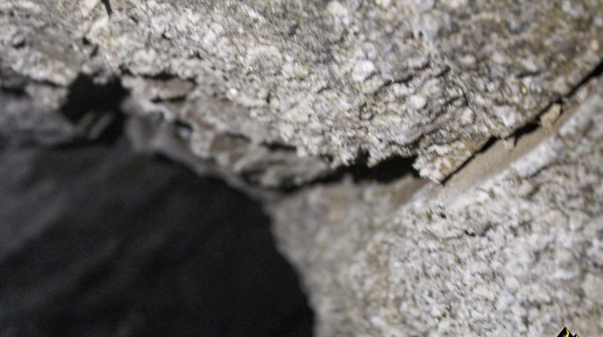 Taylor Mine — photograph 33 of the claim ground, Douglas County, Nevada