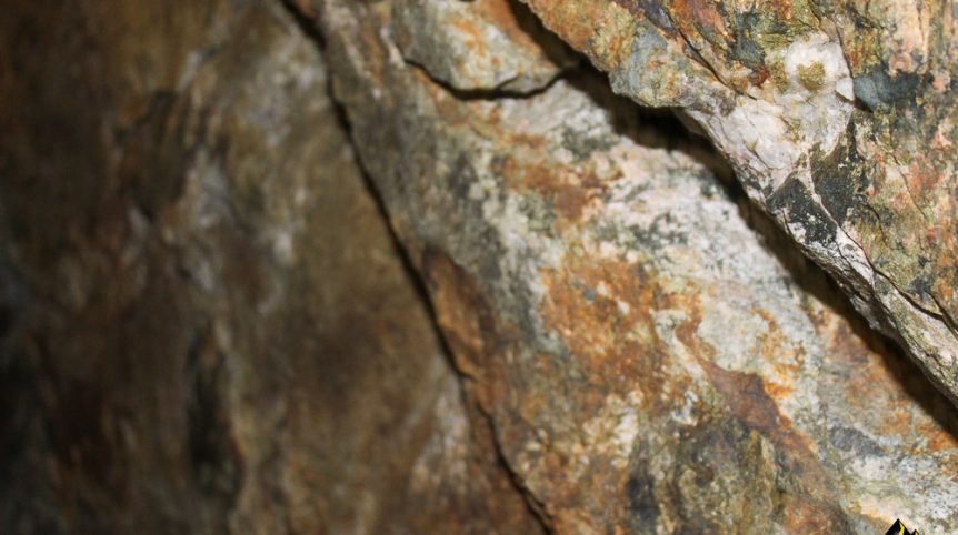 Taylor Mine — photograph 39 of the claim ground, Douglas County, Nevada