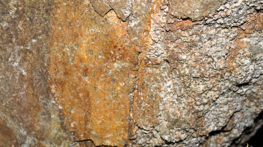 Taylor Mine — photograph 41 of the claim ground, Douglas County, Nevada
