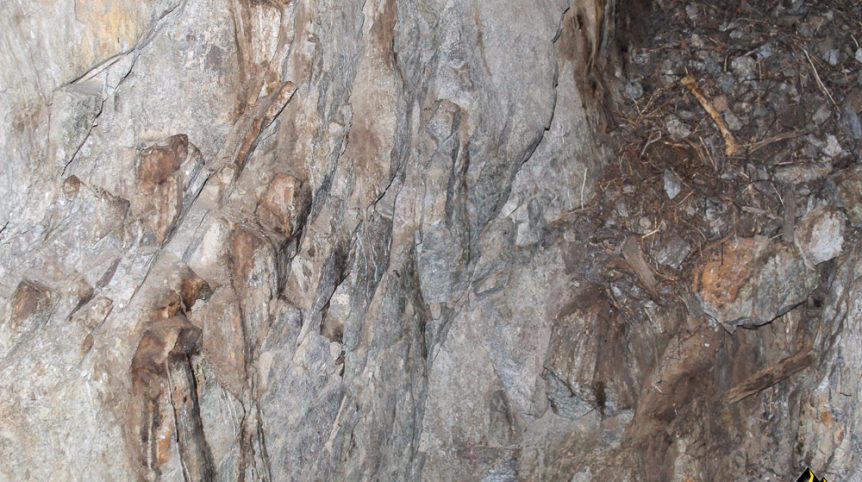 Taylor Mine — photograph 49 of the claim ground, Douglas County, Nevada