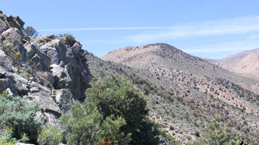 Taylor Mine — photograph 58 of the claim ground, Douglas County, Nevada