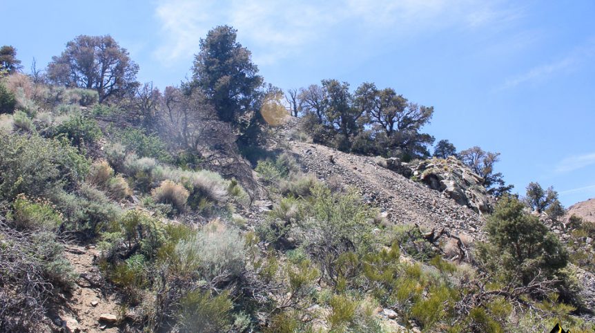 Taylor Mine — photograph 60 of the claim ground, Douglas County, Nevada