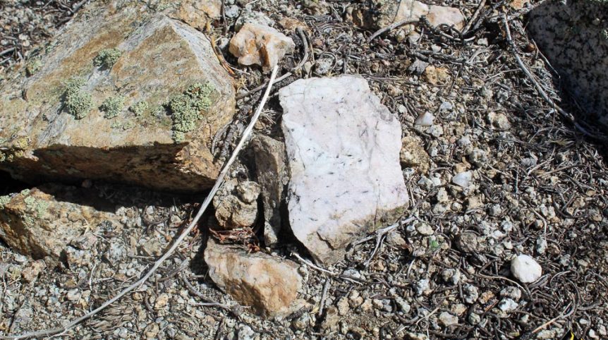 Taylor Mine — photograph 62 of the claim ground, Douglas County, Nevada