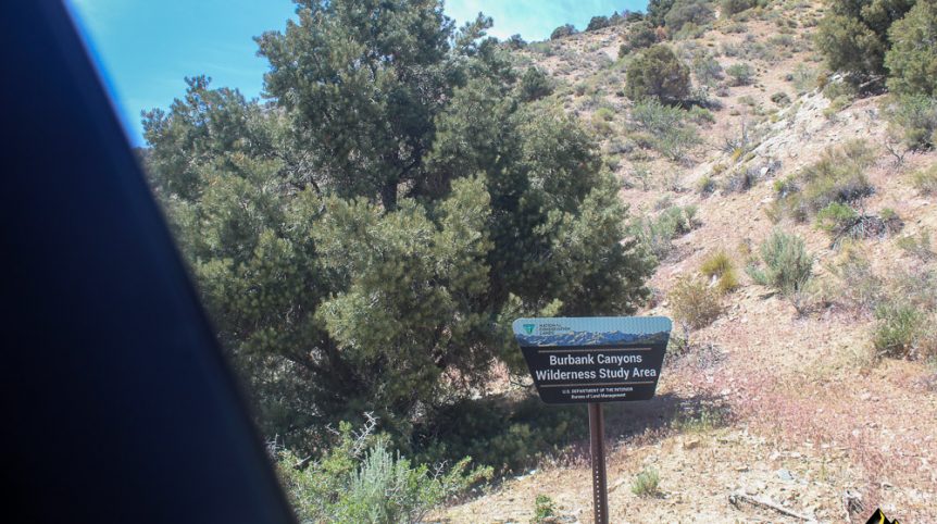 Taylor Mine — photograph 67 of the claim ground, Douglas County, Nevada