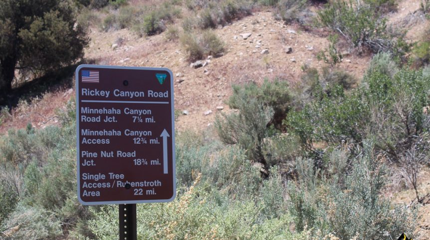 Taylor Mine — photograph 68 of the claim ground, Douglas County, Nevada