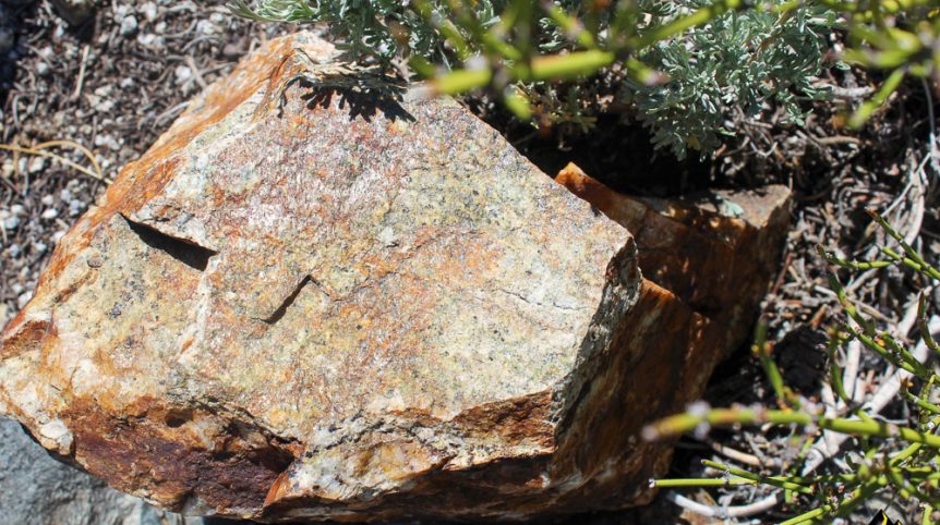 Taylor Mine — photograph 70 of the claim ground, Douglas County, Nevada