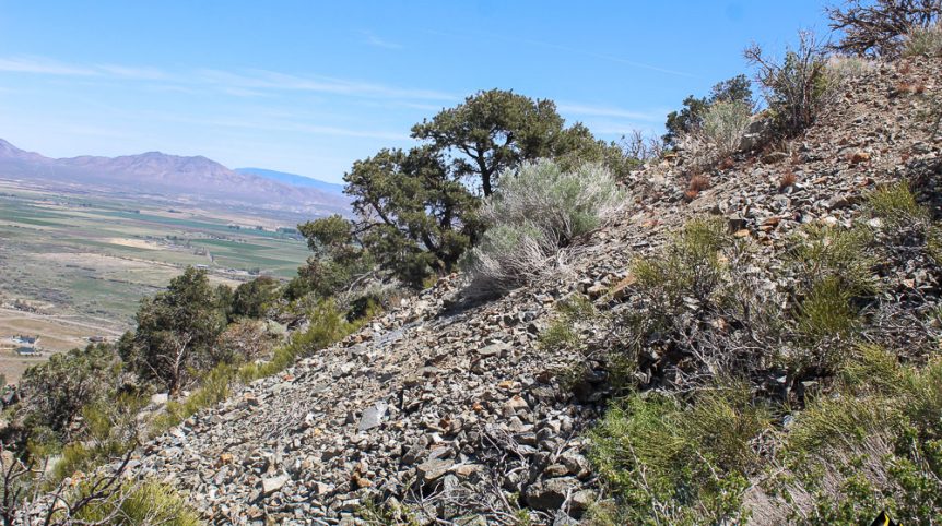 Taylor Mine — photograph 71 of the claim ground, Douglas County, Nevada