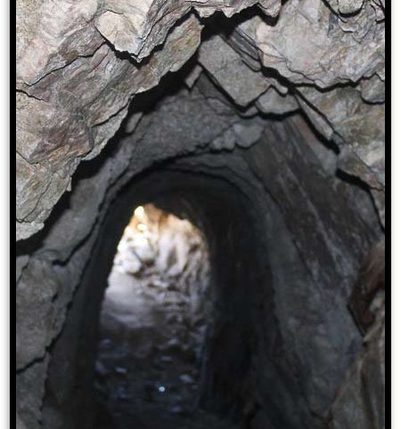 Taylor Mine — photograph 72 of the claim ground, Douglas County, Nevada