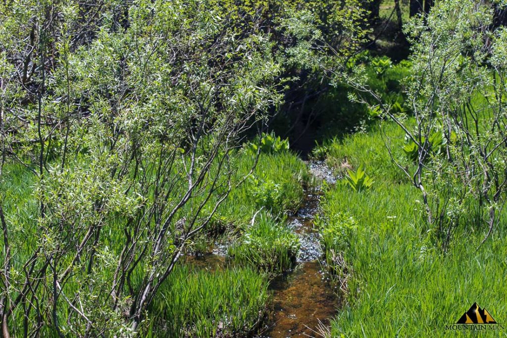 High Moss #91 — photograph 1 of the claim ground, Sierra County, California