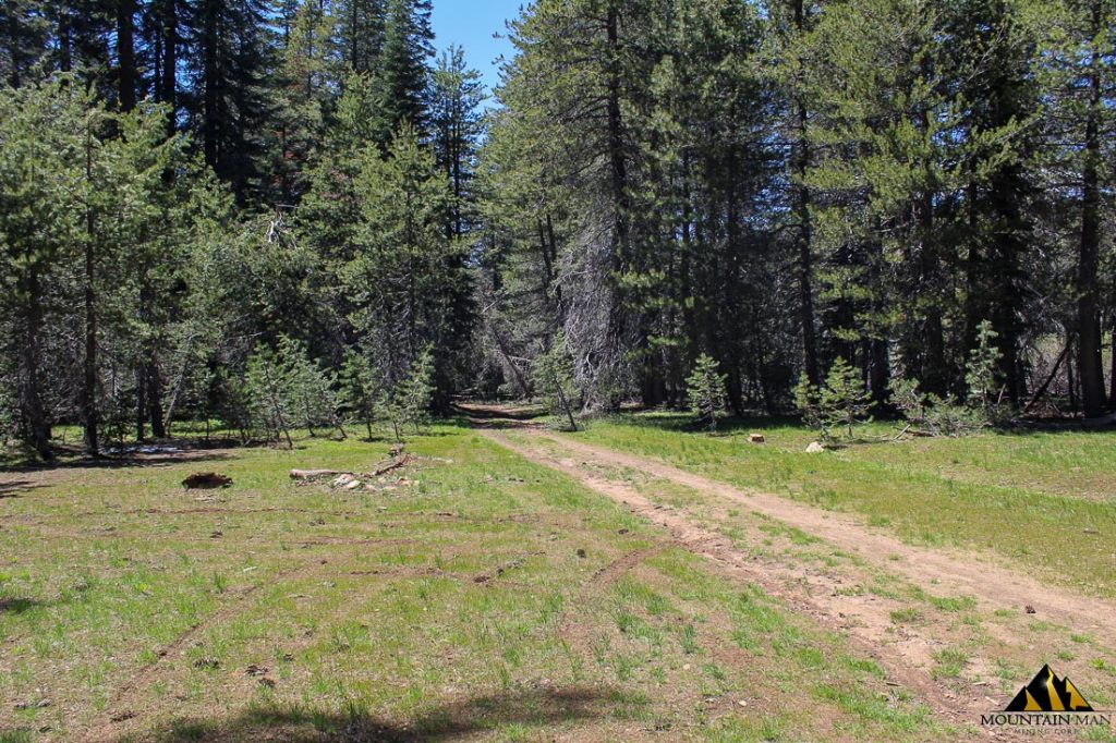 High Moss #91 — photograph 7 of the claim ground, Sierra County, California