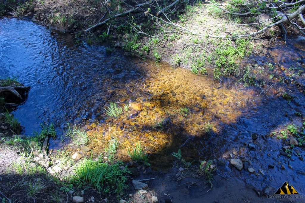 High Moss #91 — photograph 10 of the claim ground, Sierra County, California